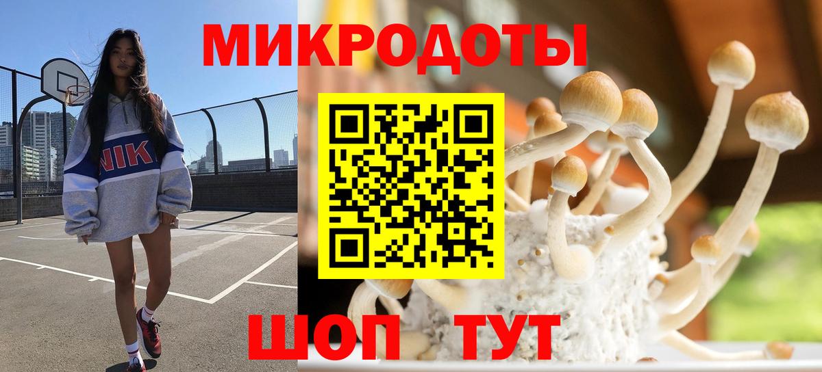 Галлюциногенные грибы MAGIC MUSHROOMS  Псилоцибиновые грибы Psilocybine cubensis  Сергиев Посад  Вход с VPN 
